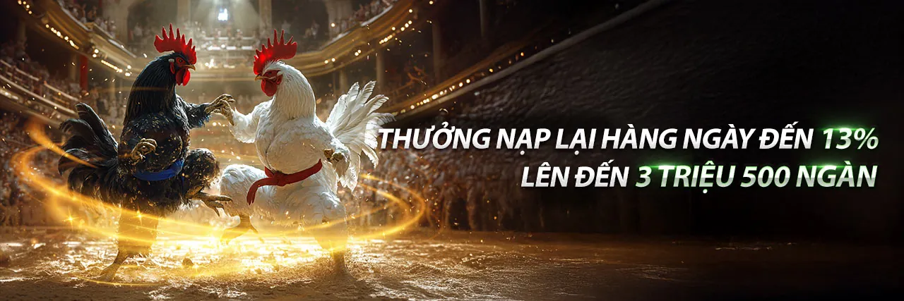 Đội ngũ hỗ trợ khách hàng Vin55