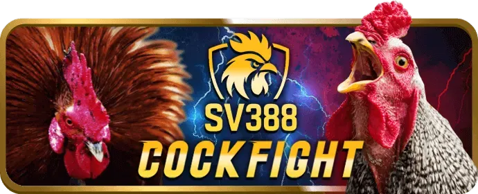 Hoàn trả Vin55